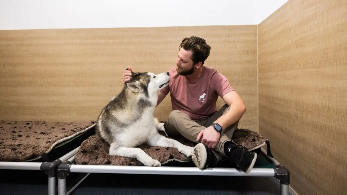 Best Overnight Dog Boarding in Irvine – Personal Play and Peace of Mind