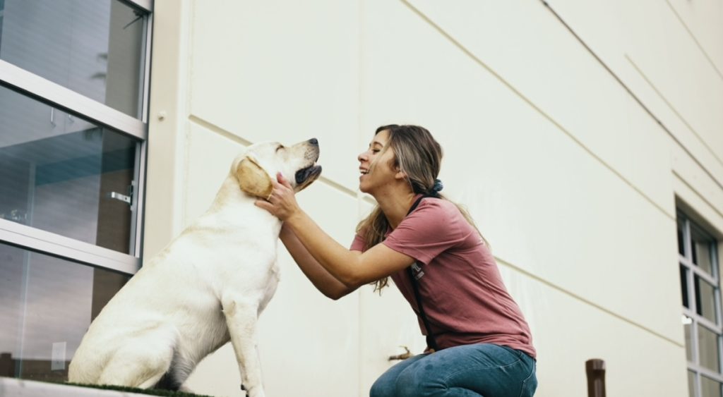 Preparing Your Dog for Their First Stay