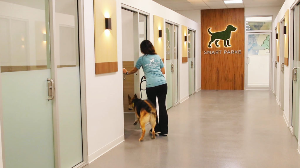 What is Overnight Dog Boarding