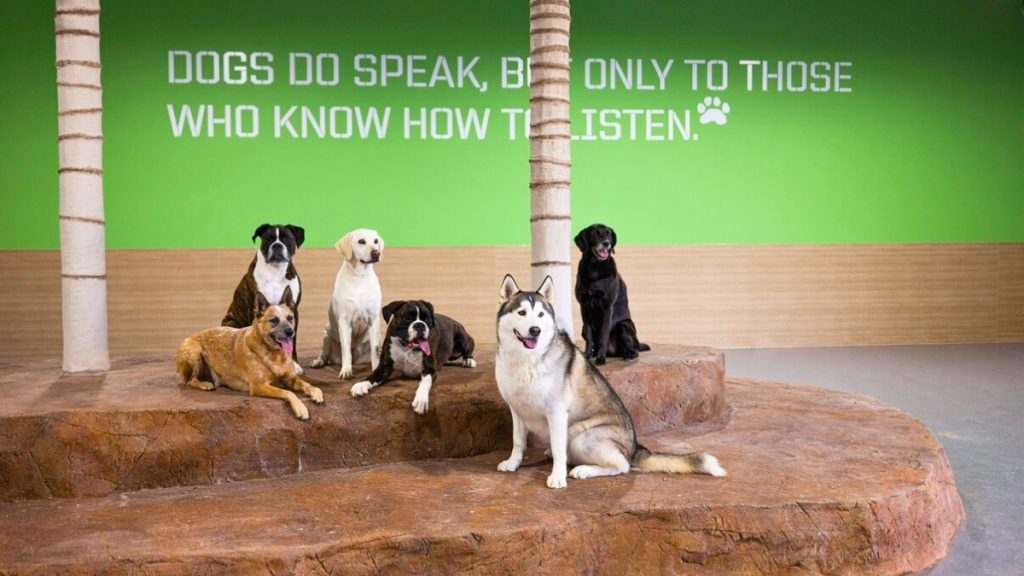 Why Socialization Matters for Your Dog