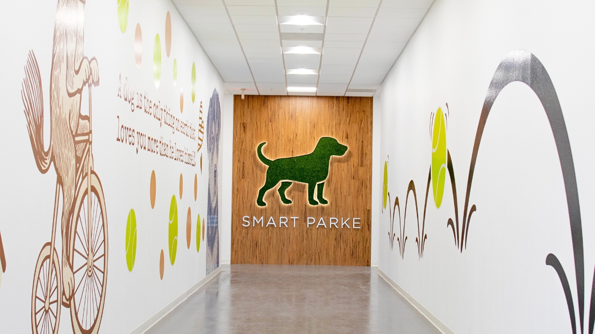 Top-Rated Dog Boarding in Corona – Luxury Stays for Your Furry Friends