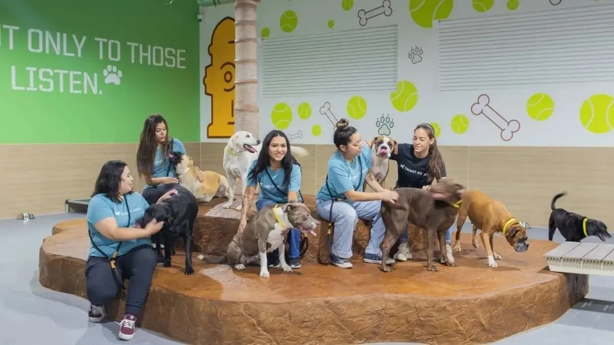 How Staff Supervision Works at Dog Boarding Facilities