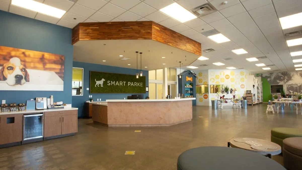 What Luxury Dog Boarding in California Includes