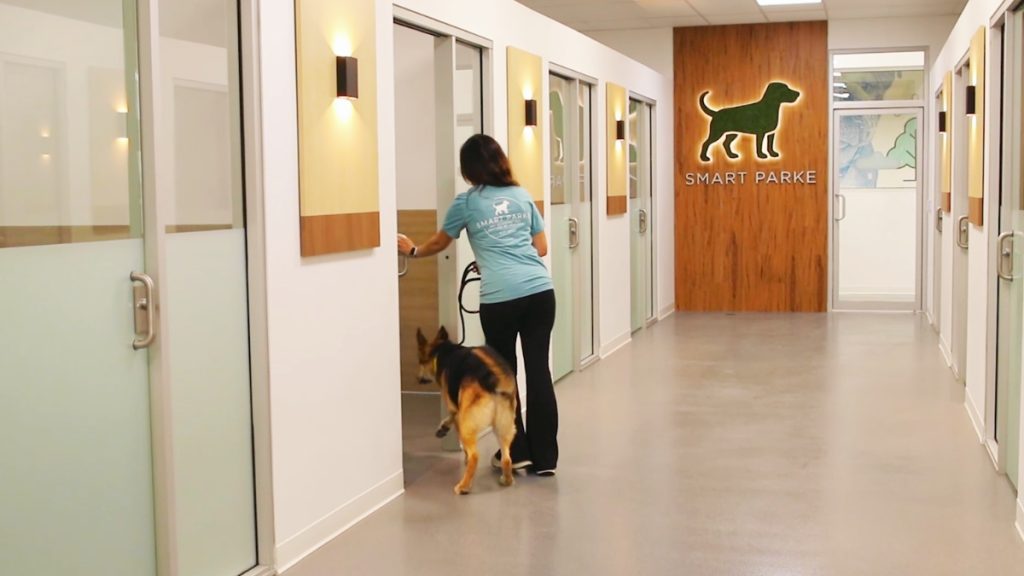 How to Prepare Your Dog for Boarding