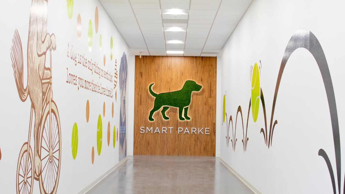 Puppy Play Groups Brea CA – Doggy Daycare for Early Social Development